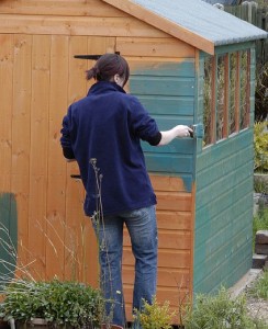 Girl painting fence