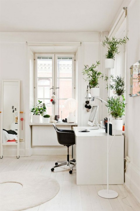 Minimalist Office With Plants
