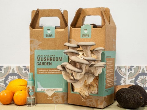 Awesome Gardening Gift Ideas For The Gardener In Your Life - Mushroom Growing Kit