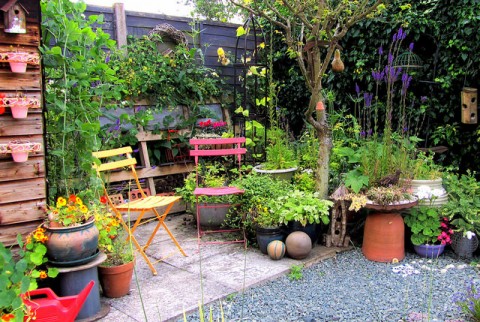 Expert Advice For Creating A More Private Garden  
