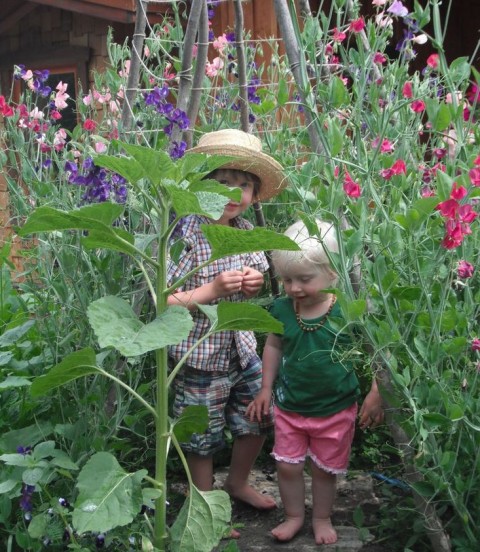 Tips for Creating a Family Garden