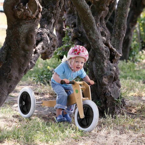 10 Children's Toys For The Conscientious Parent - Wishbone Bike