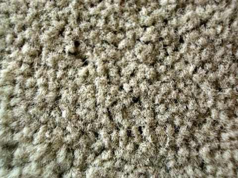 The Difference Between The Cheapest And The Most Expensive Carpets