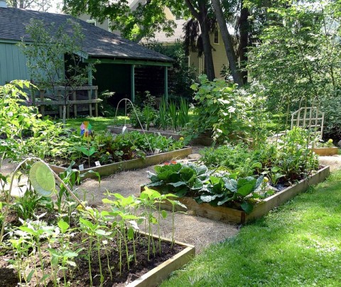 Growing Vegetables: Organic Gardening For Beginners