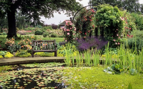 5 Ways To Create A Relaxing Garden - RNRS Rose Gardens - The Gardens of the Rose, Hertfordshire, UK