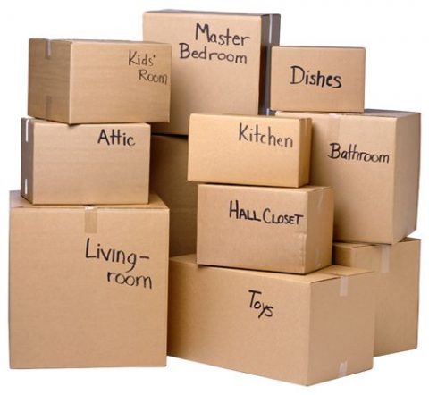 3 Things That Don’t (But Should) Have Castor Wheels - Moving Boxes