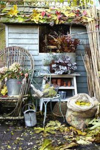 Prepare Your Garden For Winter – Take Advantage Of Autumn - Garden Shed In Autumn