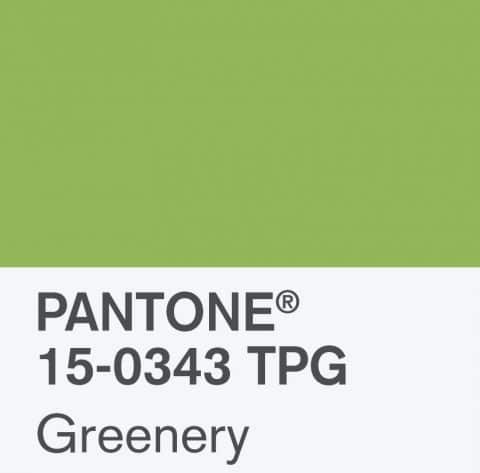 Greenery Chosen as Pantone Colour of the Year 2017