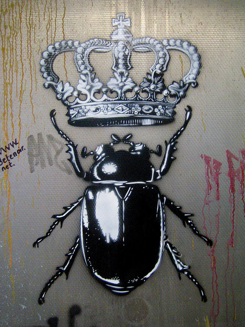 King Roach - Photo by Dr Case