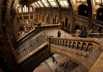 Natural History Museum, London