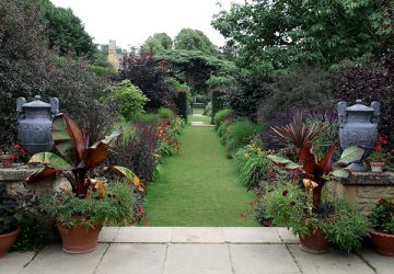 Incredible garden - Photo by Dave Catchpole