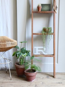 Plants with ladder shelf - Photo Etsy/Pinterest