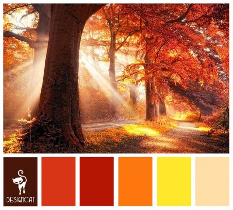 Rich autumnal colour scheme