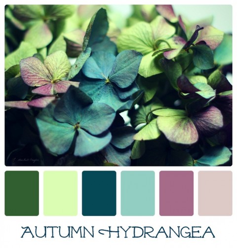 Autumn Hydrangea color palette