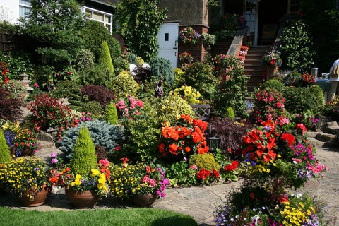 Bringing the Outside In - 8 Top Tips for Making the Most of Your Conservatory - Photo by jo-marshall