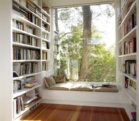 Window-seat library