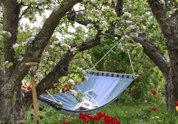 The Lazy Guide To Creating The Perfect Garden