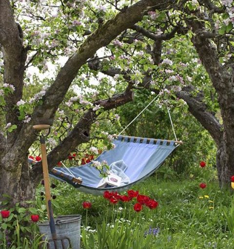 The Lazy Guide To Creating The Perfect Garden