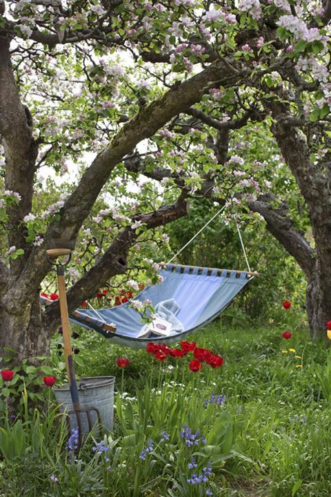 The Lazy Guide To Creating The Perfect Garden