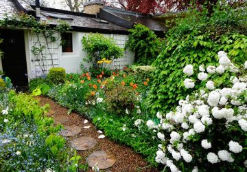 4 Tips For Creating A Garden That You Love