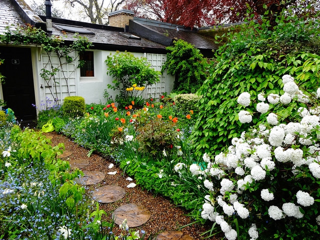 4 Tips For Creating A Garden That You Love