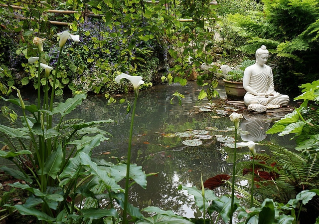 How to create a Buddha-themed garden