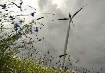 7 Tips For Running An Energy Efficient Home - Small Wind Turbine & Wild Flowers