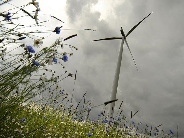 7 Tips For Running An Energy Efficient Home - Small Wind Turbine & Wild Flowers