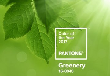 Greenery Chosen as Pantone Colour of the Year 2017