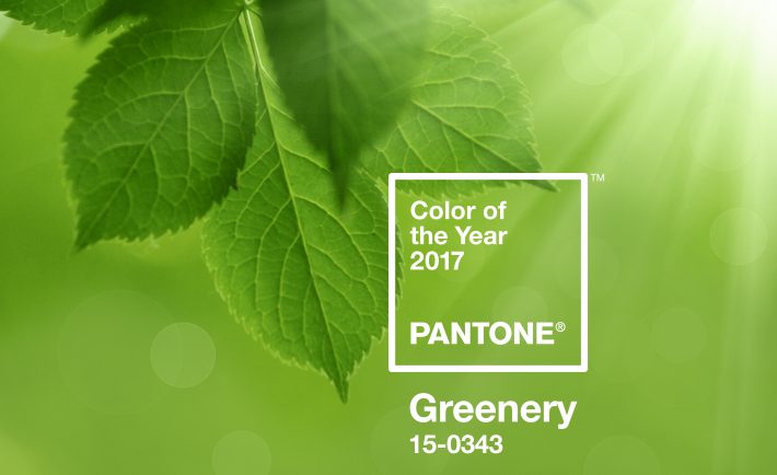 Greenery Chosen as Pantone Colour of the Year 2017