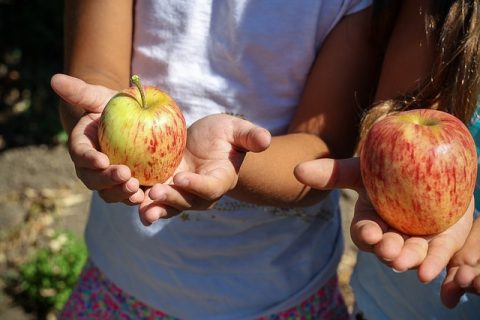 How To Make Your Kids Love Gardening