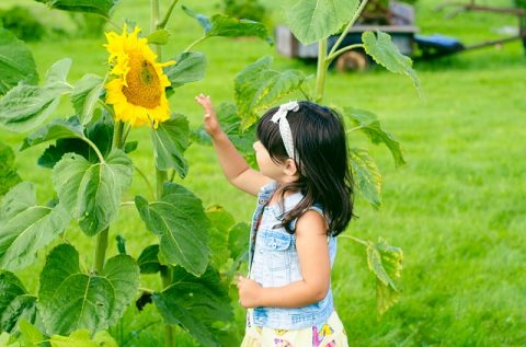 How To Make Your Kids Love Gardening