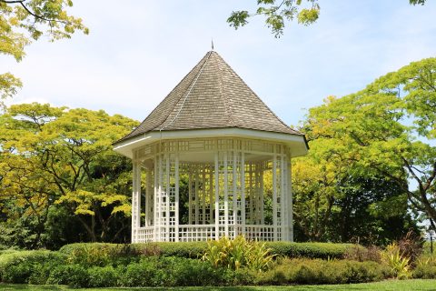 Pergola VS Gazebo – Which Is Right For Your Garden?