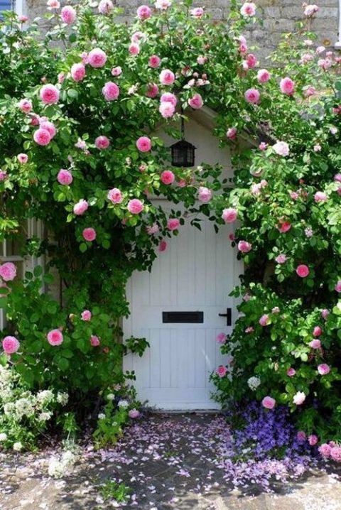 Front door and entry garden style tips – how to make a stunning entrance