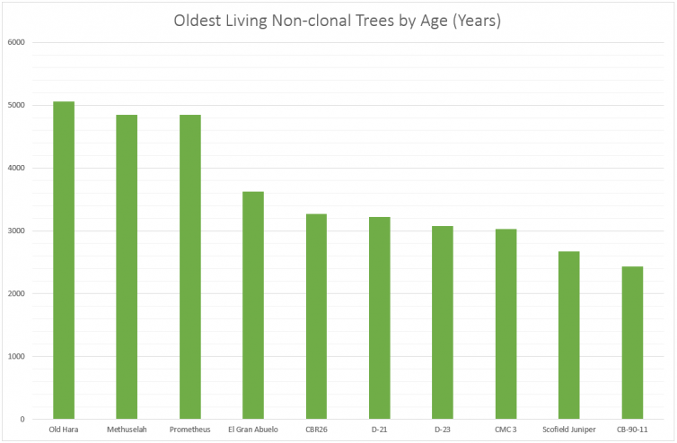 10 Oldest Living Non-clonal Trees by Age