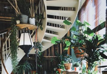 The Best Low Maintenance Houseplants - Easy Care Plants That You (Probably) Won’t Kill