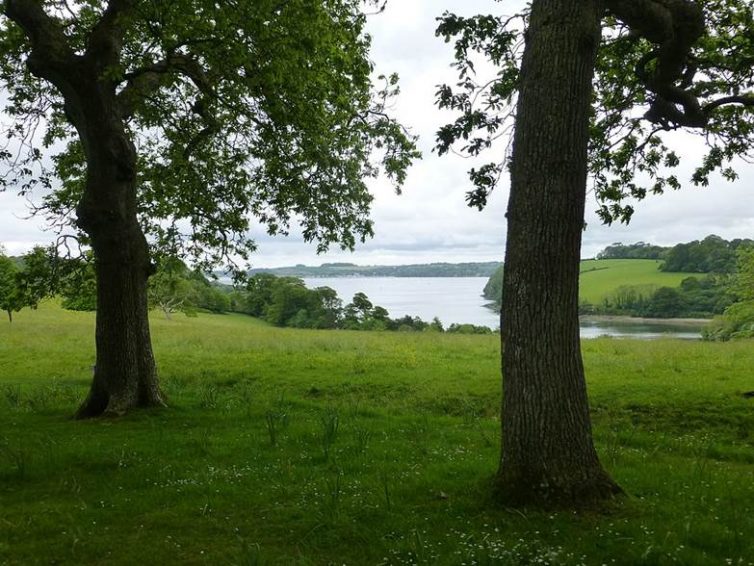 7 Of The Best Gardens In Cornwall - Trelissick