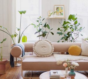 Using Plants To Transform Your home - Image From honestlywtf.com