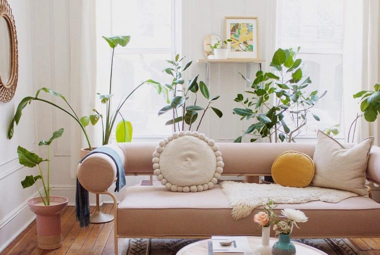 Using Plants To Transform Your home - Image From honestlywtf.com