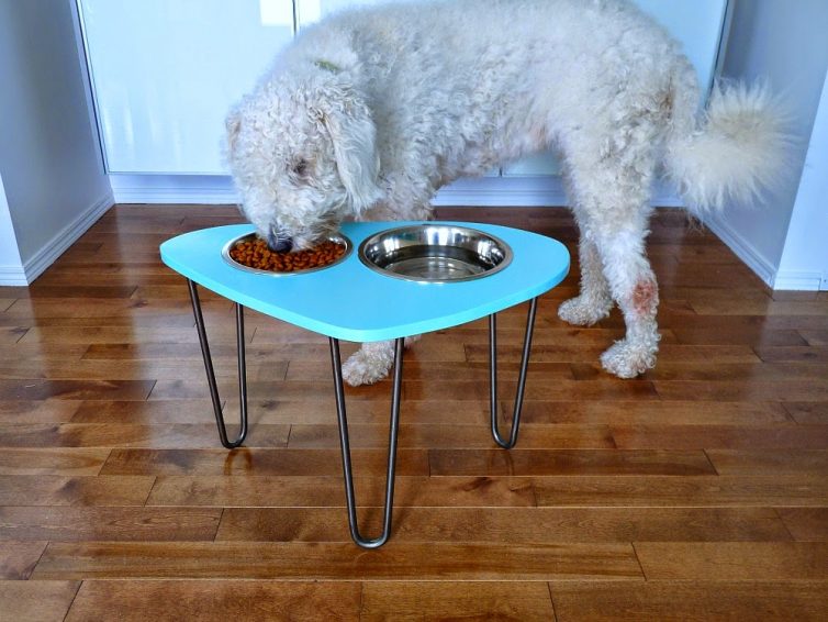 Pampered Pooch - 5 Items All Dog Owners Need - Raised Dog Bowl Stand - From Dans Le Lakehouse