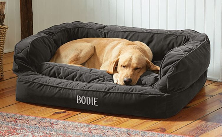 Pampered Pooch - 5 Items All Dog Owners Need - Memory Foam Bed - From Orvis