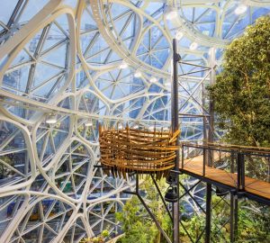 Biophilic Design And Wellbeing - Amazon's 'Spheres' in Seattle, USA