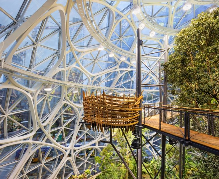 Biophilic Design And Wellbeing - Amazon's 'Spheres' in Seattle, USA