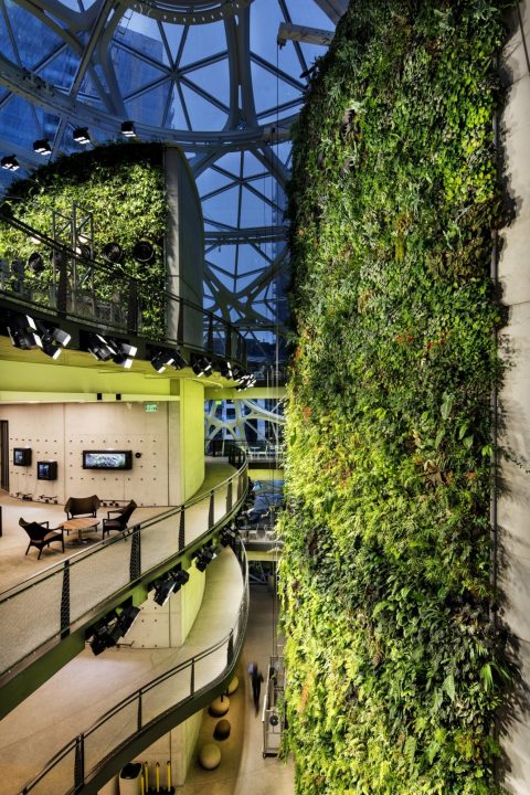 Biophilic Design And Wellbeing - Amazon's 'Spheres' in Seattle, USA