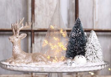 Editor's Pick: Indoor Christmas lights