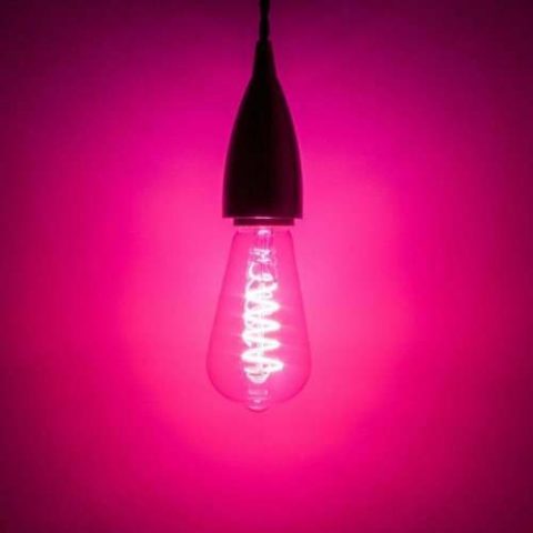 Lighting Design Trends To Look Out For This Year - Filament Style Magenta LED Light Bulb - Image From - festive-lights.com
