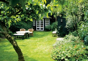 7 Tips To Keep Your Garden Lush, Healthy, Green, and Beautiful in Summer