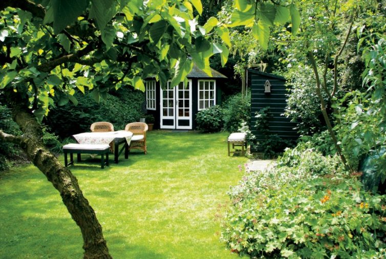 7 Tips To Keep Your Garden Lush, Healthy, Green, and Beautiful in Summer