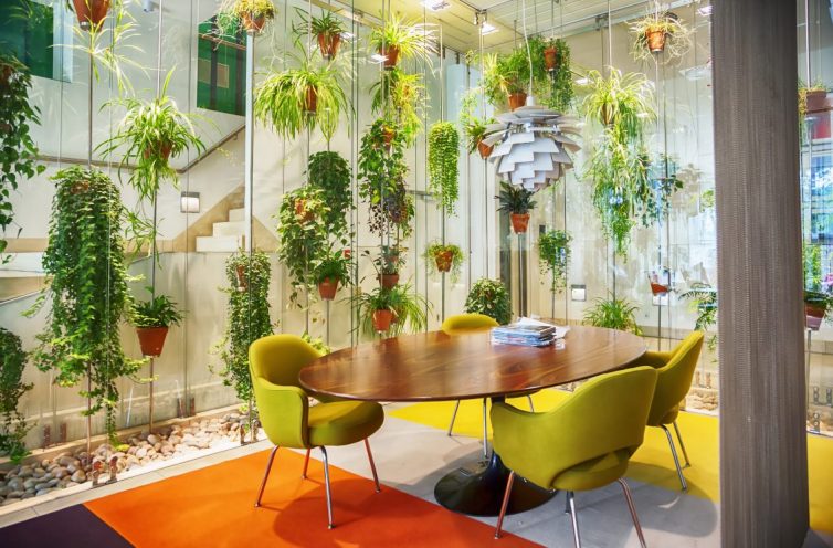 Plants Office