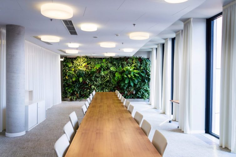 Planting For Productivity - Plant Wall In Office